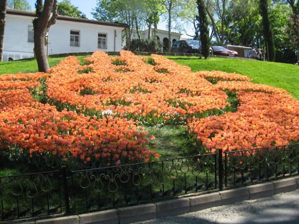 Name:  075.jpg
Views: 1269
Size:  71.2 KB