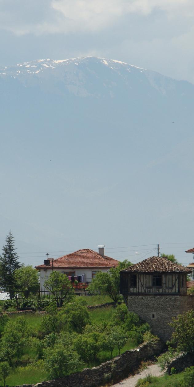 Name:  s14.jpg
Views: 318
Size:  70.1 KB