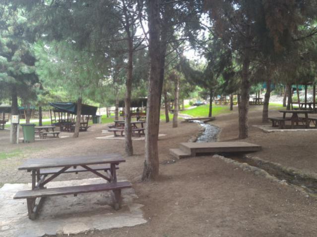 Name:  P_20151017_141854.jpg
Views: 555
Size:  50.2 KB