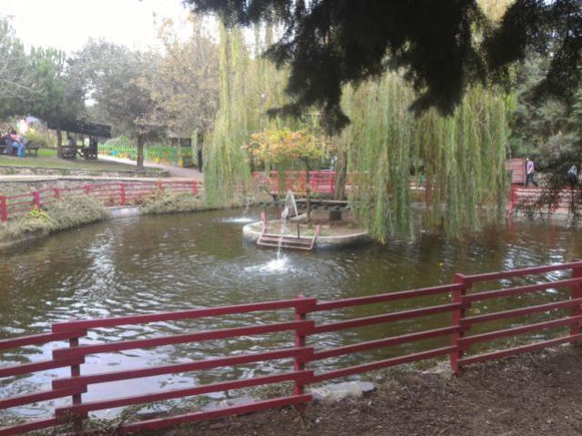 Name:  P_20151017_141906.jpg
Views: 547
Size:  59.5 KB