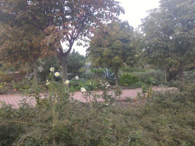 Name:  P_20151017_142050.jpg
Views: 748
Size:  59.9 KB