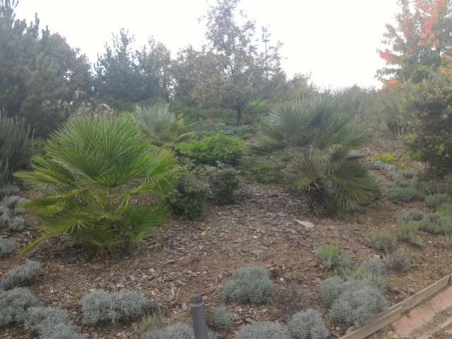 Name:  P_20151017_142112.jpg
Views: 752
Size:  50.0 KB