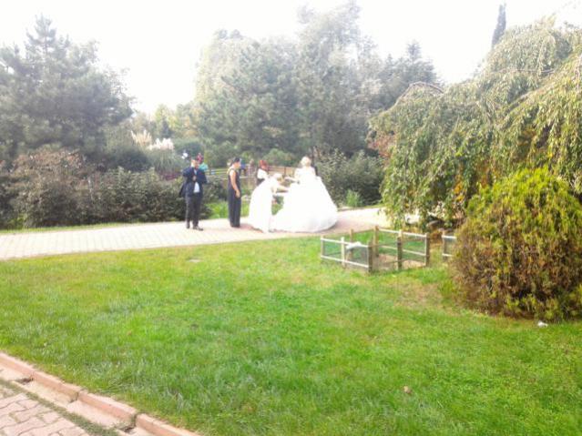 Name:  P_20151017_143104.jpg
Views: 776
Size:  56.7 KB