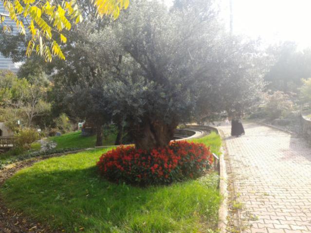 Name:  P_20151017_143812.jpg
Views: 485
Size:  53.7 KB