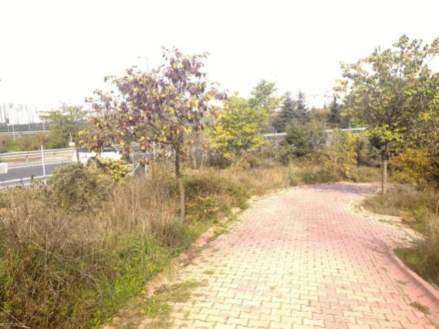 Name:  P_20151017_144144.jpg
Views: 481
Size:  55.1 KB