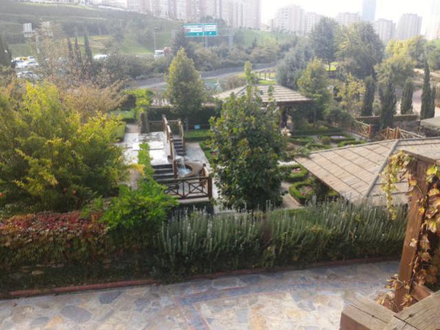 Name:  P_20151017_144354.jpg
Views: 720
Size:  54.9 KB