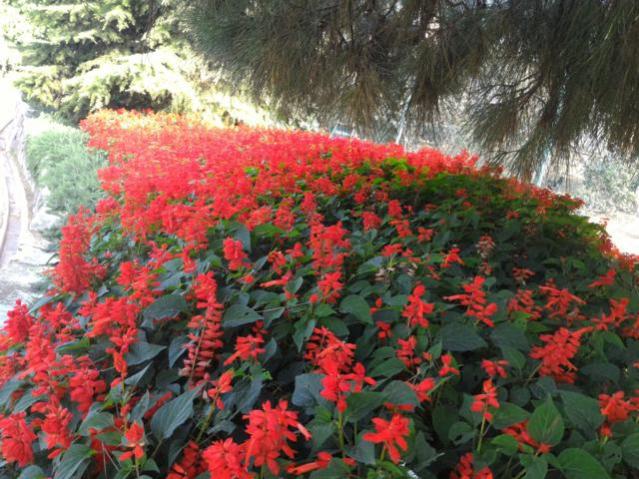 Name:  P_20151017_150841.jpg
Views: 458
Size:  66.7 KB