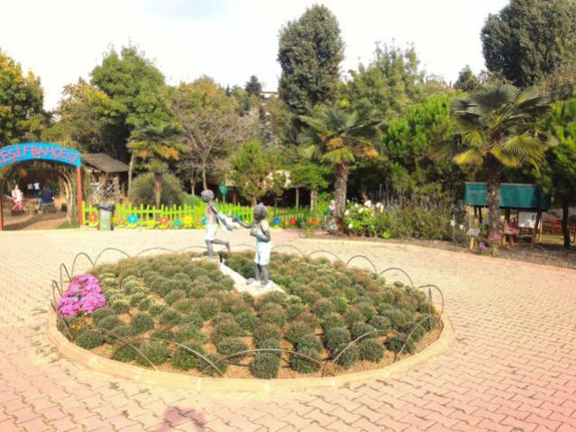 Name:  P_20151017_151349.jpg
Views: 530
Size:  62.8 KB