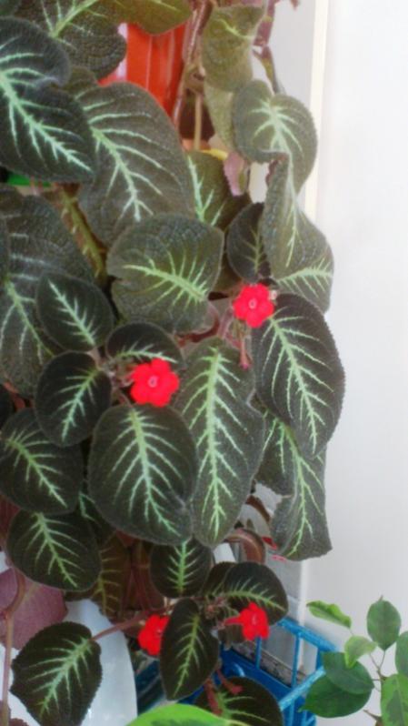 Name:  058.jpg
Views: 394
Size:  47.5 KB
