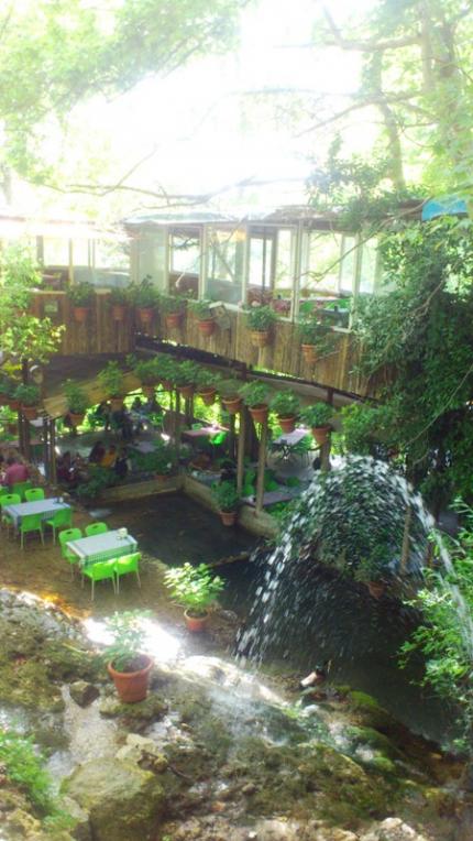 Name:  044.jpg
Views: 224
Size:  60.3 KB