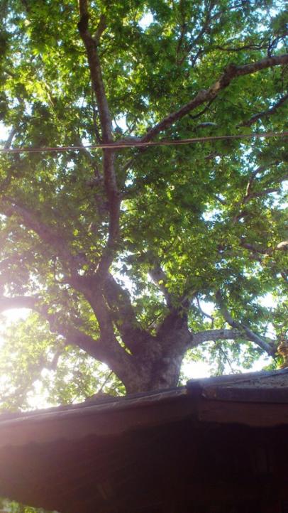 Name:  079.jpg
Views: 201
Size:  62.1 KB