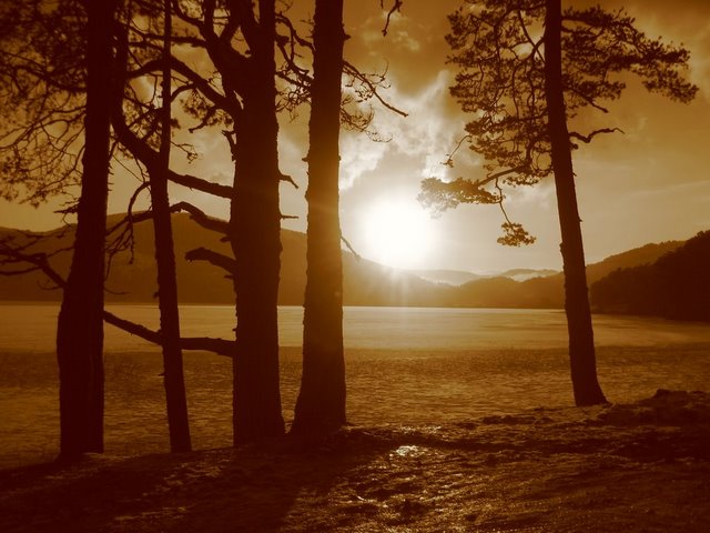 Name:  4.JPG
Views: 3744
Size:  61.5 KB