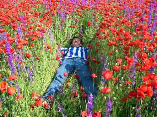 Name:  papaver gelincik.jpg
Views: 7238
Size:  68.8 KB