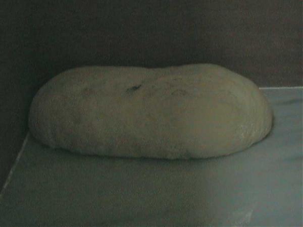 Name:  DCAM0085.jpg
Views: 4099
Size:  18.4 KB