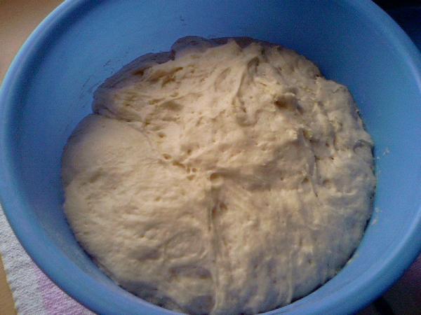 Name:  Photo-0314.jpg
Views: 698
Size:  33.1 KB