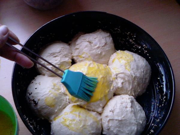 Name:  Photo-0318.jpg
Views: 633
Size:  38.6 KB