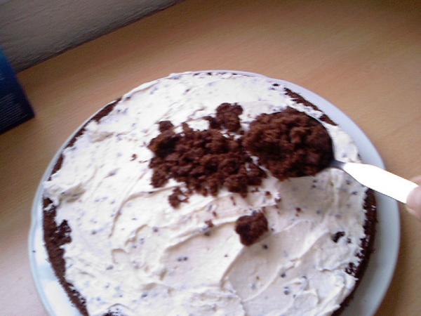 Name:  Photo-0322.jpg
Views: 2864
Size:  34.7 KB