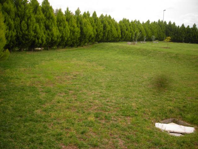 Name:  DSCN4654.jpg
Views: 8303
Size:  52.0 KB