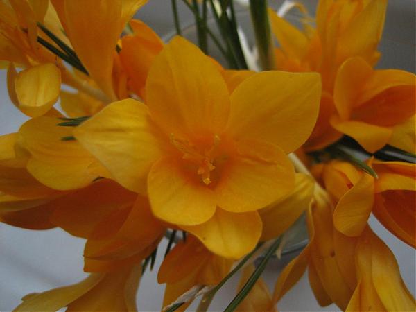 Name:  resim 024.jpg
Views: 2329
Size:  27.3 KB