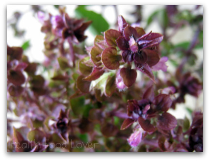 Name:  Purple-Basil-Flower-and-Orange-Zest-Tea-011-ds-pck-sml-wp1.jpg
Views: 1310
Size:  65.0 KB