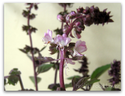 Name:  Purple-Basil-Flower-and-Orange-Zest-Tea-013-ds-pck-sml-wm.jpg
Views: 849
Size:  51.4 KB