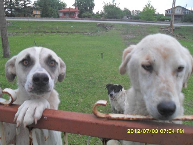 Name:  071.jpg
Views: 404
Size:  42.3 KB