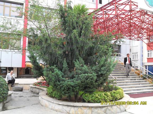 Name:  005.jpg
Views: 3552
Size:  71.9 KB