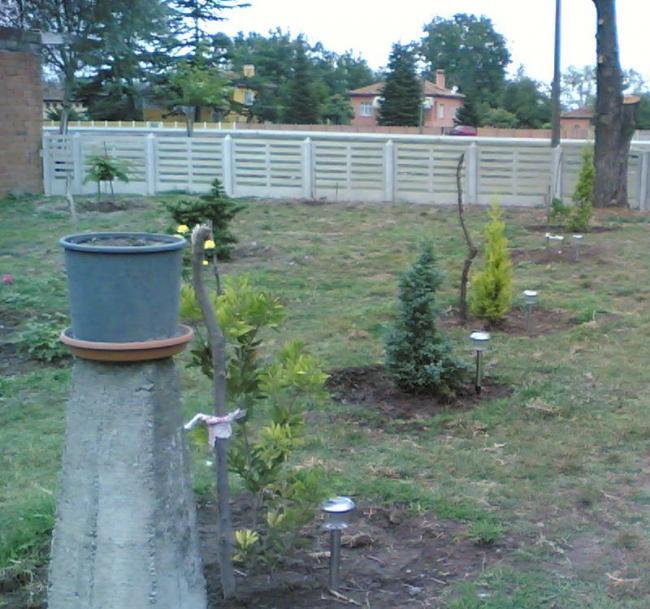 Name:  05082008(012).jpg
Views: 8932
Size:  67.8 KB