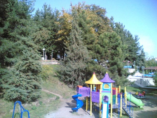 Name:  09112009.jpg
Views: 3878
Size:  68.1 KB