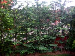 Name:  06_haziran 015.JPG
Views: 6724
Size:  56.9 KB