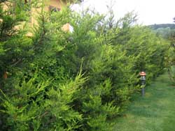 Name:  06_haziran 014.JPG
Views: 7043
Size:  53.9 KB