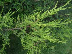 Name:  06_haziran 017.JPG
Views: 6917
Size:  60.0 KB