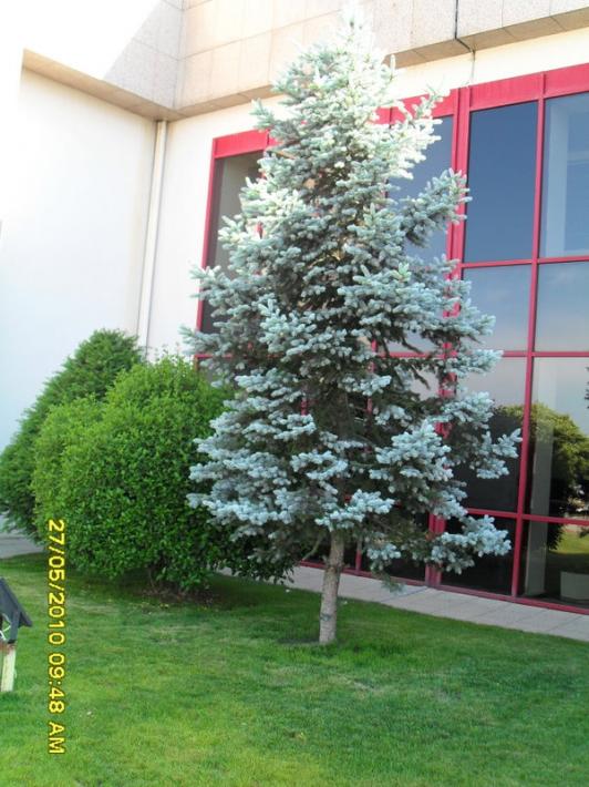 Name:  Resim 799.jpg
Views: 1760
Size:  69.2 KB
