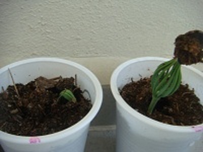 Name:  haziran 2010 146.JPG
Views: 636
Size:  51.8 KB