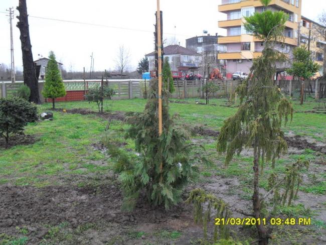 Name:  033.jpg
Views: 4209
Size:  66.1 KB