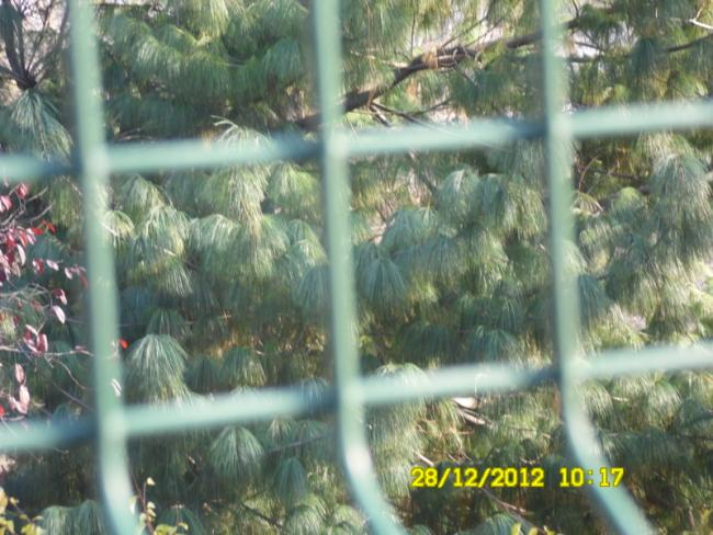 Name:  19-023.jpg
Views: 1433
Size:  57.1 KB