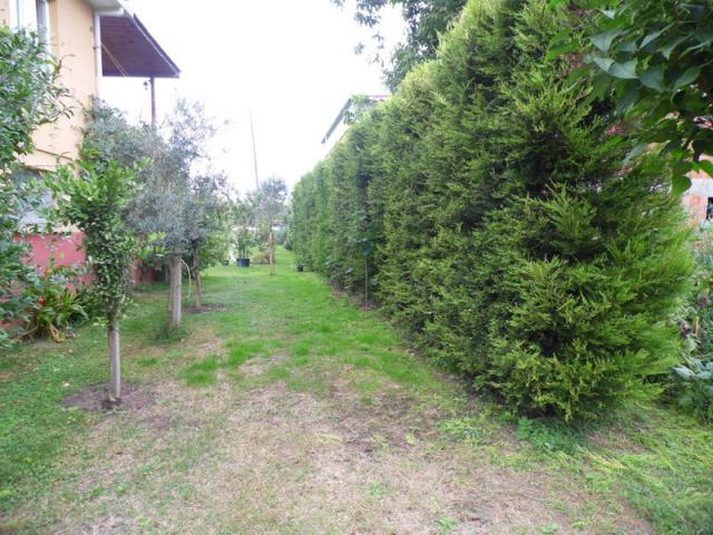 Name:  26-026.jpg
Views: 4263
Size:  69.6 KB