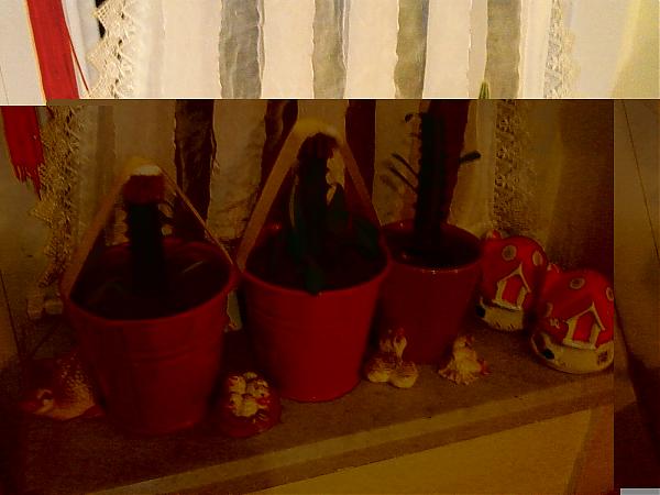 Name:  Resimler 001.jpg
Views: 2323
Size:  32.2 KB