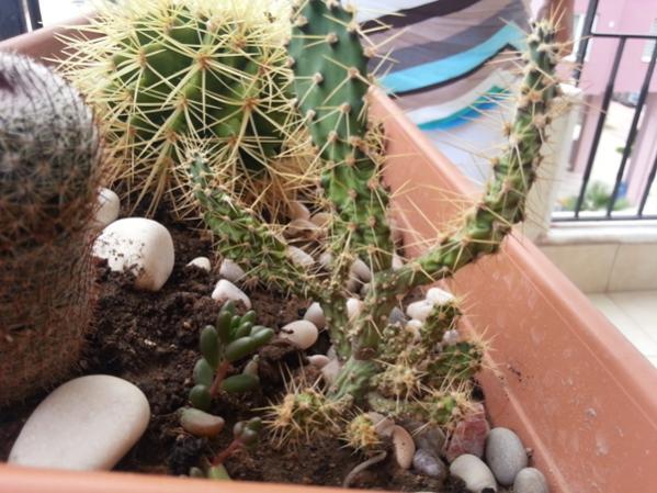 Name:  20130711_173354.jpg
Views: 4453
Size:  54.4 KB