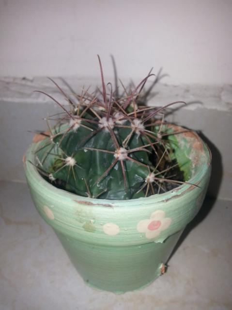 Name:  20150201_201020.jpg
Views: 1648
Size:  28.2 KB
