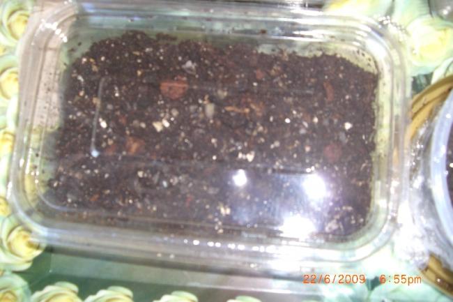 Name:  kakts.jpg
Views: 5334
Size:  39.2 KB