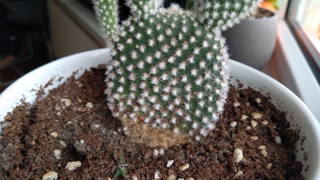 Name:  IMG_20180929_121640.jpg
Views: 5918
Size:  52.9 KB