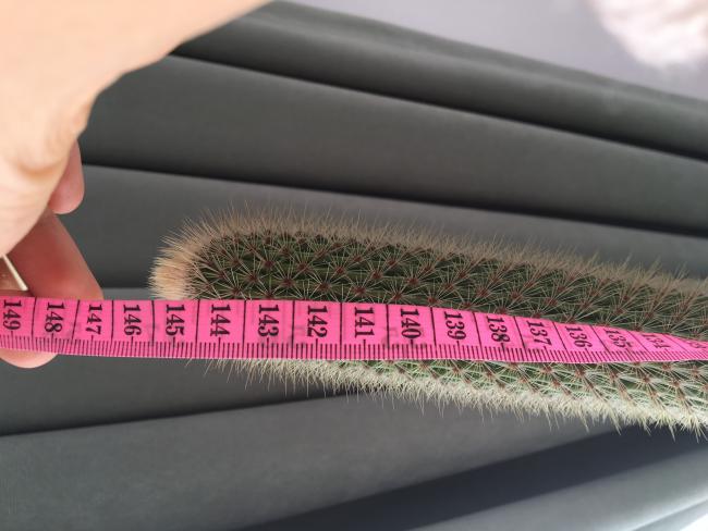 Name:  IMG_6006.jpg
Views: 5967
Size:  39.6 KB