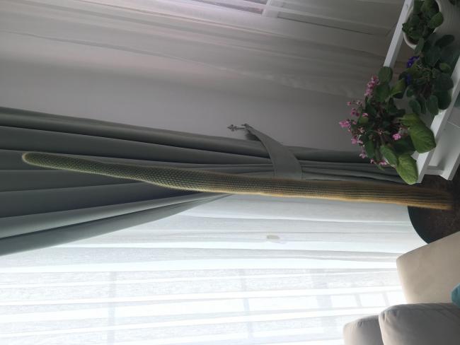 Name:  IMG_6016.jpg
Views: 5567
Size:  30.1 KB