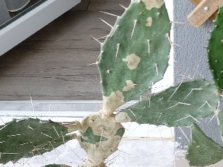 Name:  Image00003.jpg
Views: 1327
Size:  46.3 KB