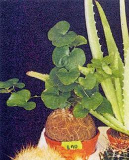 Name:  24.jpg
Views: 9055
Size:  20.4 KB