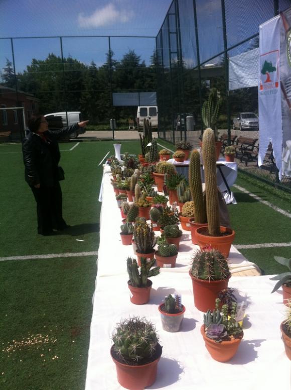 Name:  075-075.jpg
Views: 1291
Size:  66.8 KB