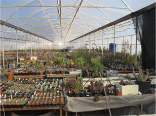 Name:  sera 5.jpg
Views: 2156
Size:  54.9 KB