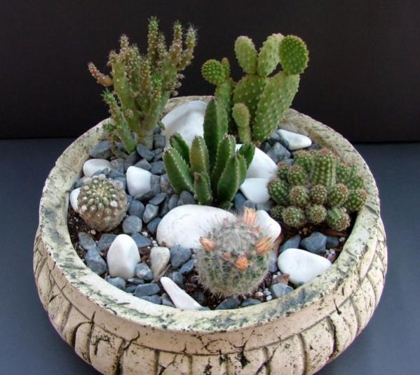 Name:  DSCF2182 (600 x 537).jpg
Views: 17942
Size:  51.6 KB