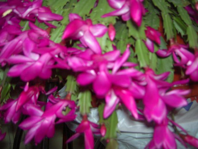 Name:  Resim 090.jpg
Views: 3262
Size:  41.6 KB